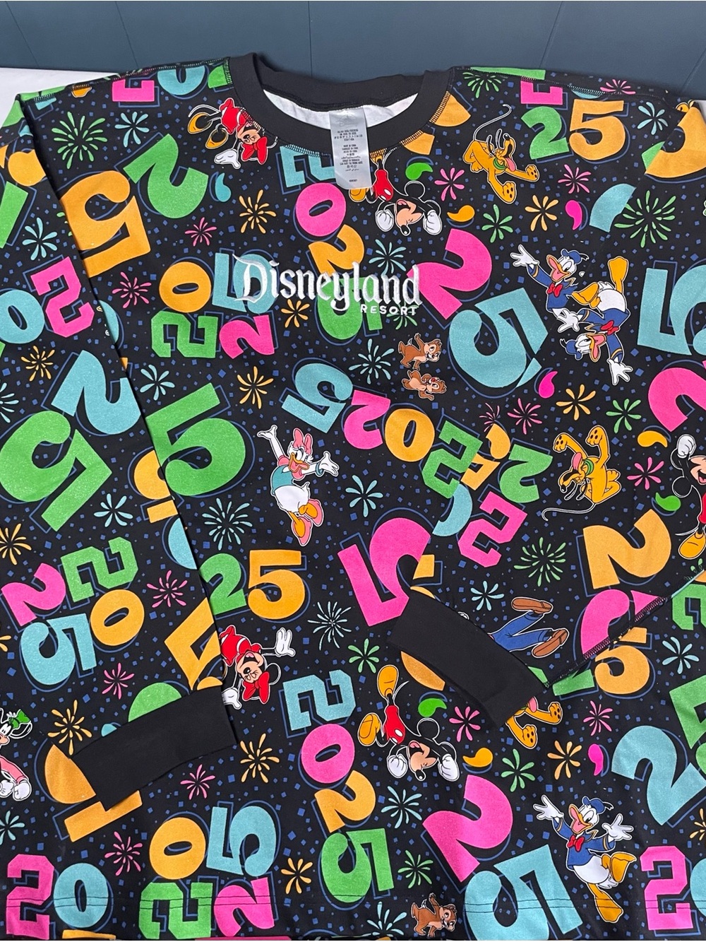 Brand New Disneyland 2025 Theme Adult 3X Sweatshirt Spirit Jersey